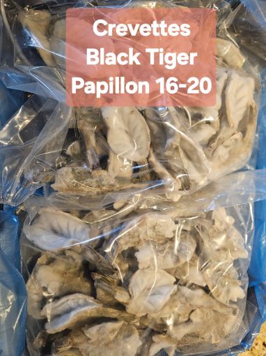 Image de Crevettes Black tiger