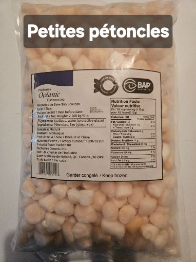Image de Petites pétoncles